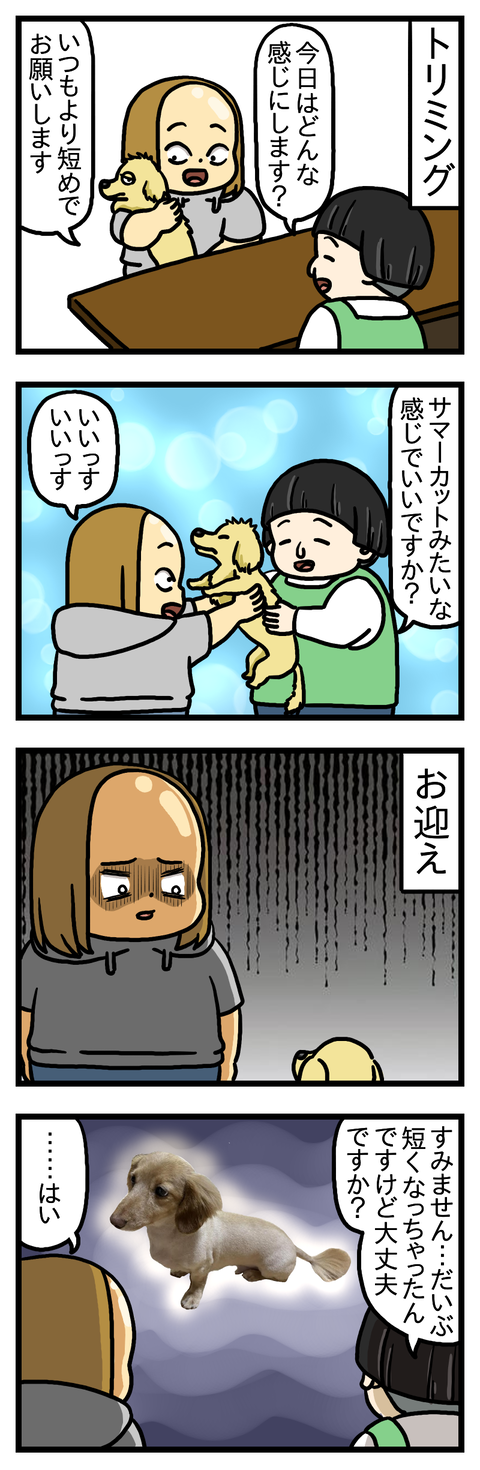 UMA