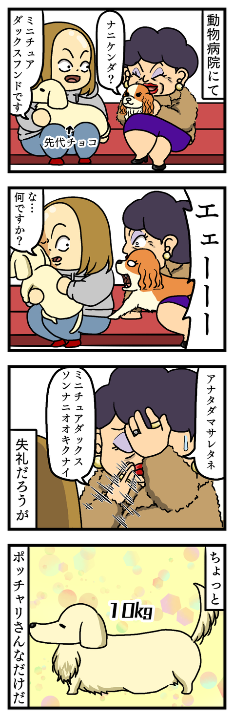 ミニチュアダックスフンド