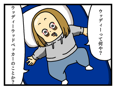 トイストーリー知らんのよ②