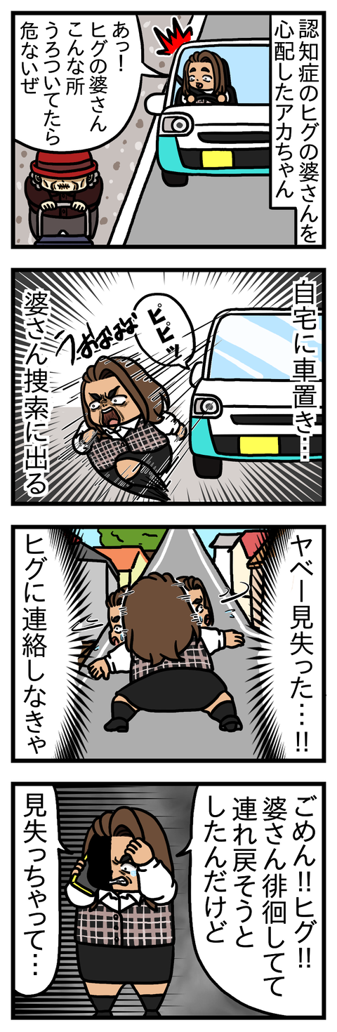 ヒグ婆①