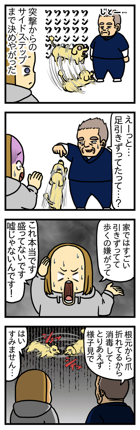 すってんころりん④