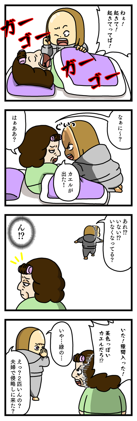 侵略であります