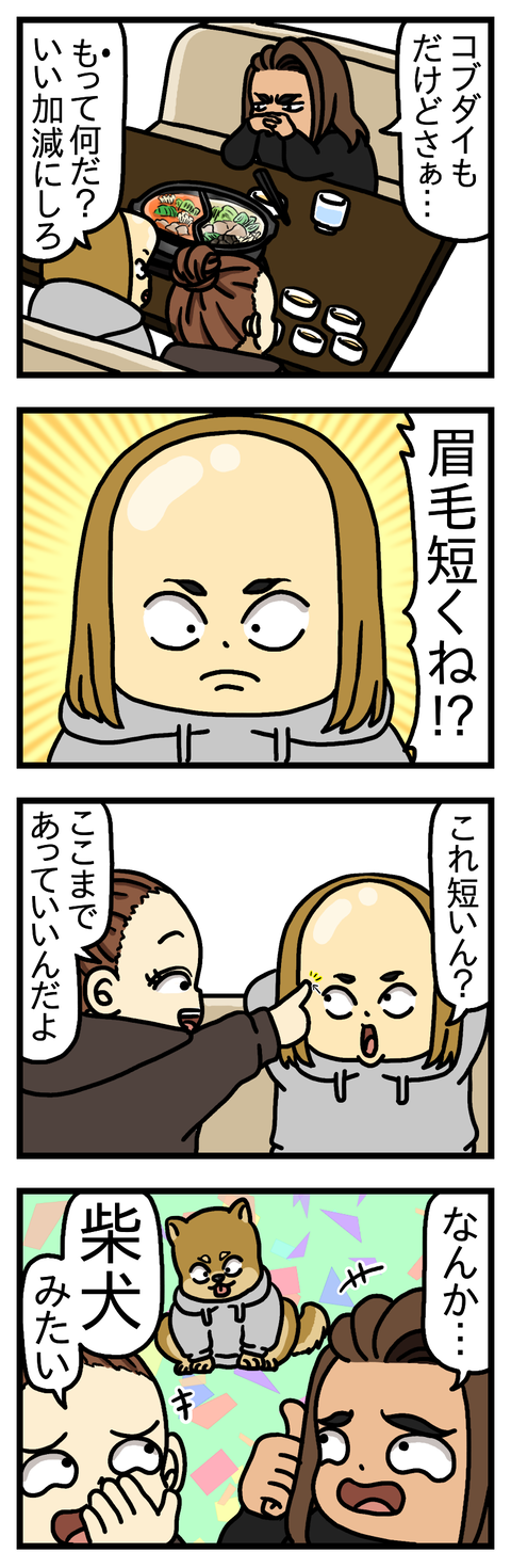柴犬