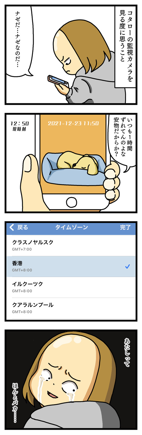 監視カメラ