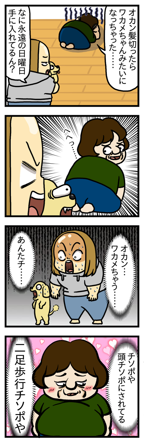 公然わいせつ罪