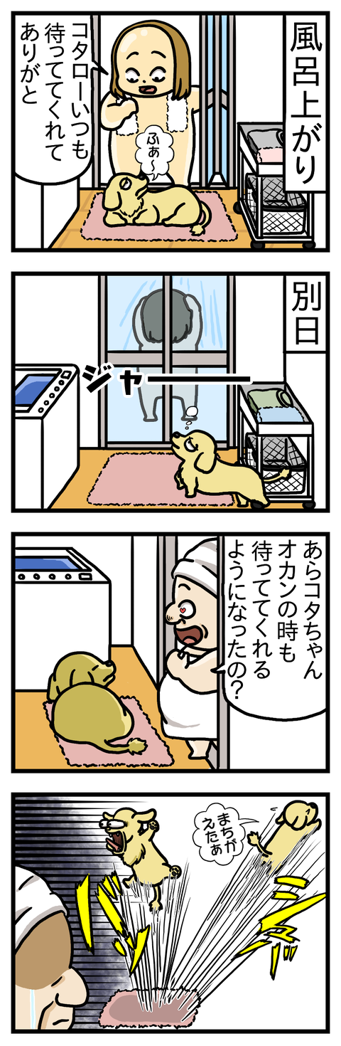 間違い