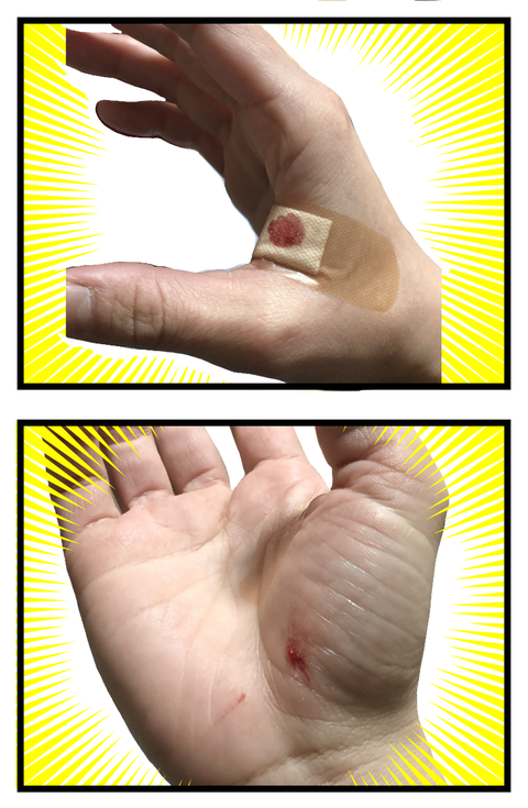 飼い犬に手を嚙まれる③