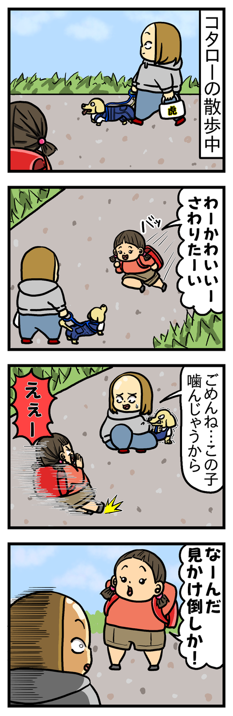 見かけ倒し