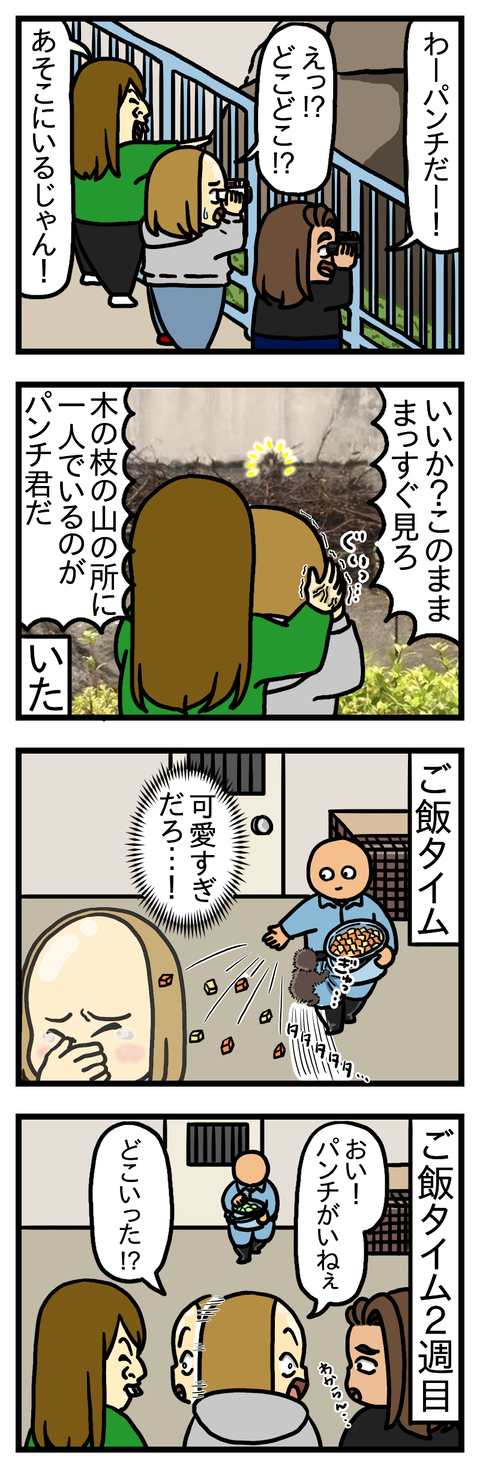 マサイ族
