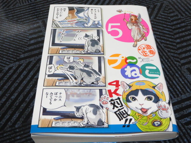 うだうだ話 買い物編 44 その2 でこぽん日記 其の弐 うだうだ話 買い物編 44 その2 でこぽん日記 其の弐