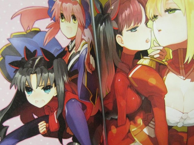 Fate Extra Material 初回限定版 でこぽん日記 其の弐