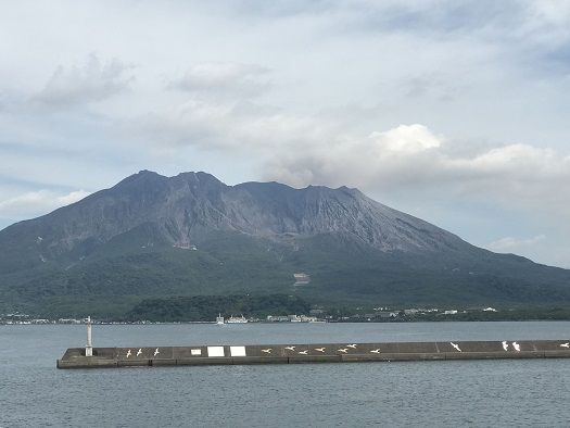 イメージ 5