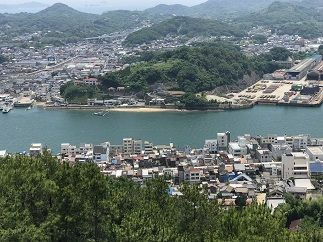 イメージ 6