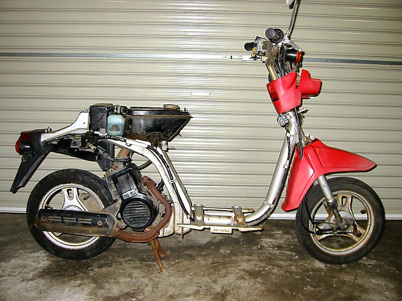 Honda eve smile