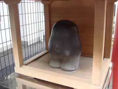 DSC1004244