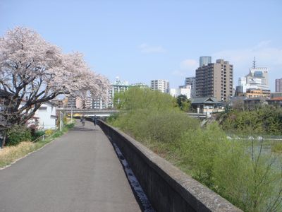 DSC1004304