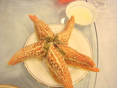 DSC02650.jpg