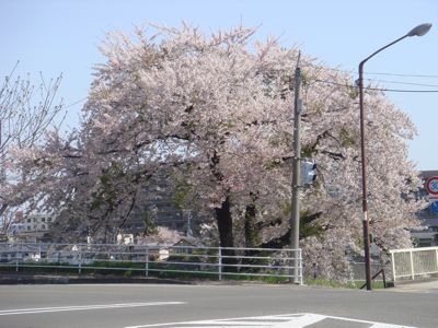 DSC1004301