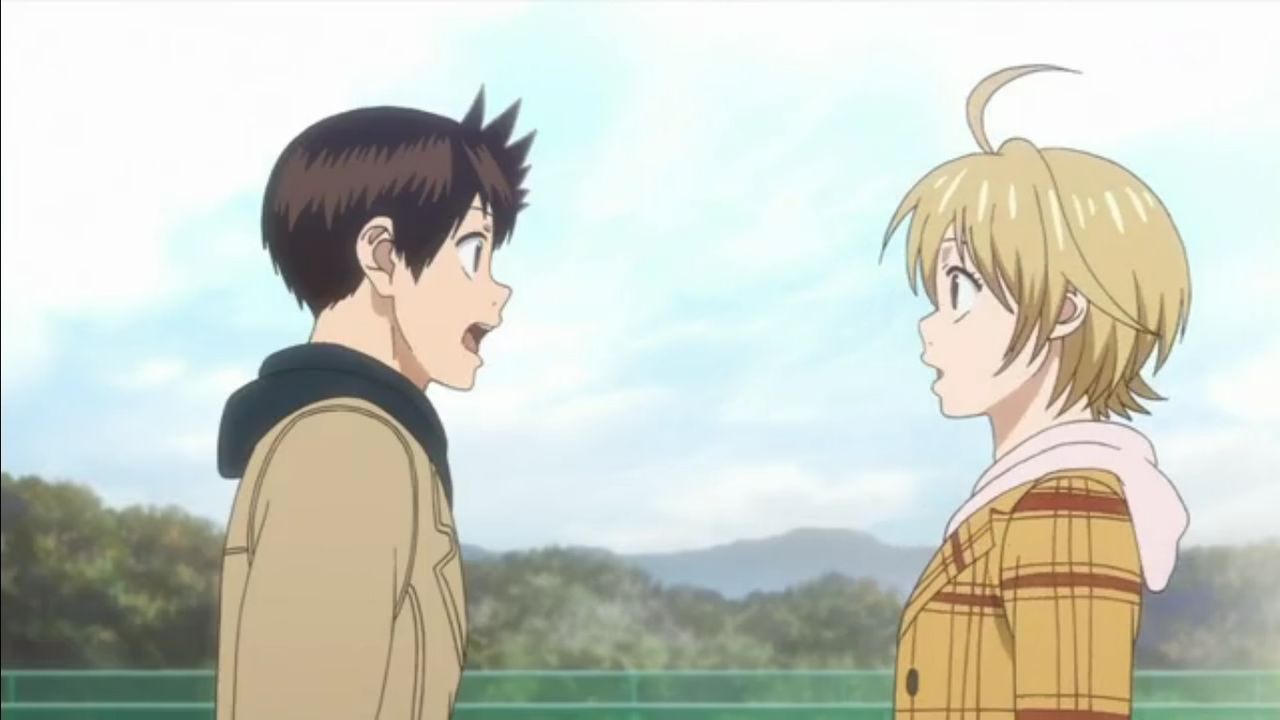 ベイビーステップ 第25話 栄一郎と奈津 終 アニメ感想 デルフィニウムの園 ベイビーステップ 第25話 栄一郎と奈津 終 アニメ感想 デルフィニウムの園