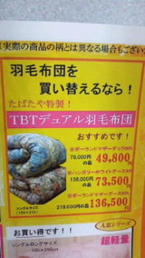 940a8d13.jpg