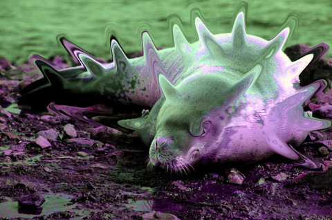 サツジンアザラシ