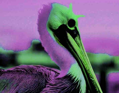 エビルペリカン2