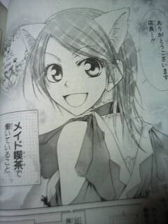 私 会長はメイド様 の味方です 中ぴ連会長の電波秘宝館