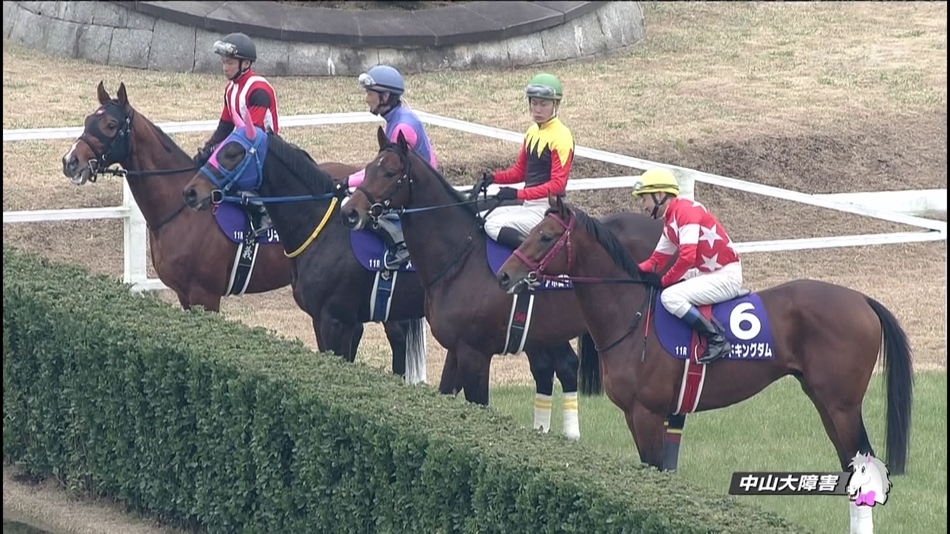 ハロン棒ch　-競馬まとめ-