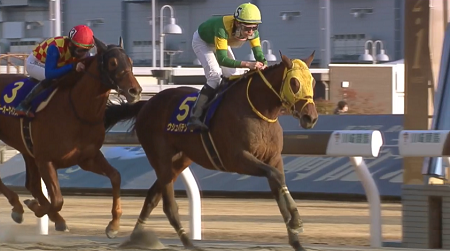 ウシュバテソーロさん、２勝馬を相手に半馬身遅れ