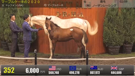 ハロン7885