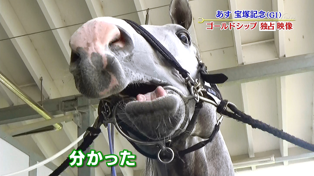 宝塚記念 ゴールドシップのスタートwww ハロン棒ch 競馬まとめ 宝塚記念 ゴールドシップのスタートwww ハロン棒ch 競馬まとめ