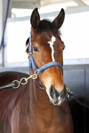 お嬢様メイケイエール 競速