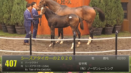 ハロン7905