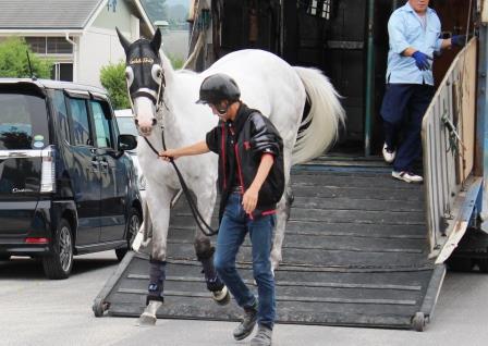 ゴールドシップ白すぎ 競馬まとめ