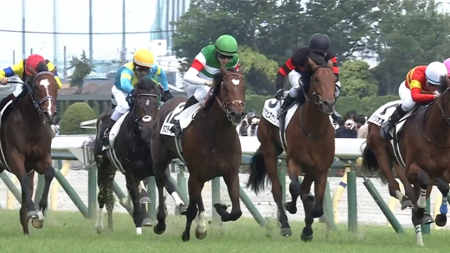 ダービー馬タスティエーラは菊花賞直行