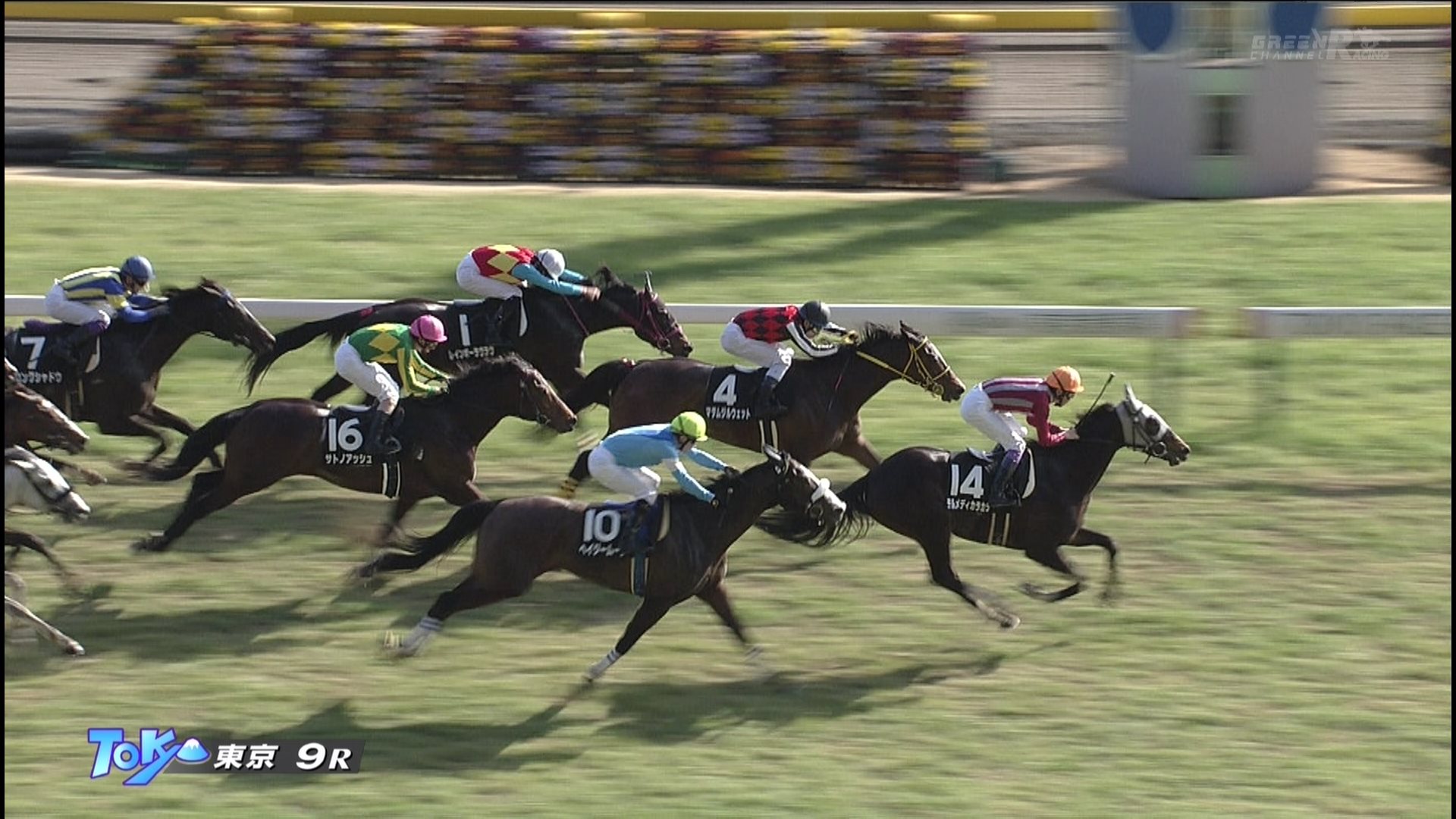 テレビ山梨杯 テルメディカラカラ 武さんがキタ ゚ ゚ ハロン棒ch 競馬まとめ テレビ山梨杯 テルメディカラカラ 武さんがキタ ゚ ゚ ハロン棒ch 競馬まとめ