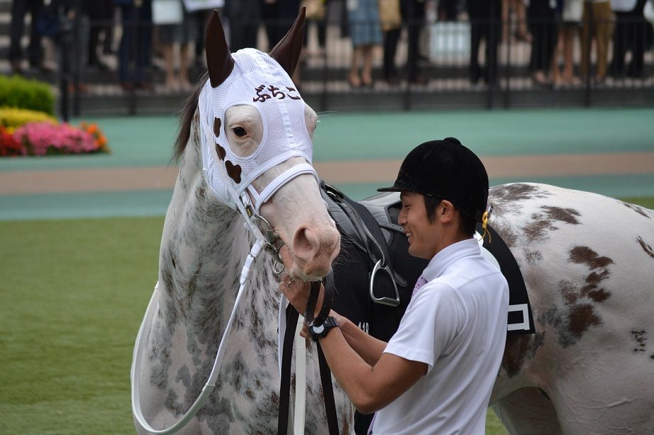 モーター 調整 増加する ラガー レグルス 傘 男 Starku Jp