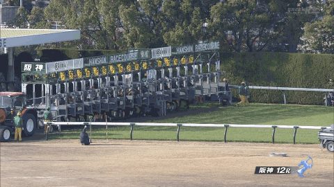 ノリポツンｗｗｗｗｗｗｗｗｗｗｗｗ ハロン棒ch 競馬まとめ