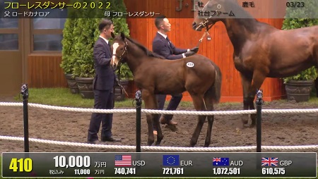 410-FlorlessDancer10000