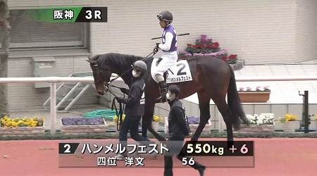 ハロン7491
