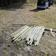 IMG_20210302_095357_446