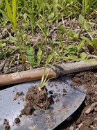 IMG_20210615_100836