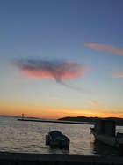 IMG_20211209_170005