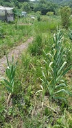 KIMG0800