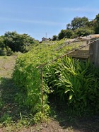 IMG_20210720_093849