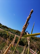 IMG_20211103_114122