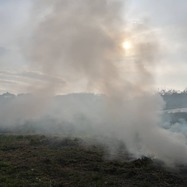 IMG_20210302_095357_436
