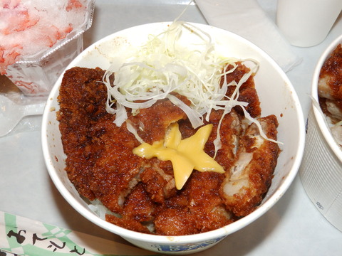 P7213487