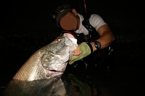 釣果報告 今シーズンのアカメ釣果報告紹介 でんでん丸 でんでんまる店長 のブログ