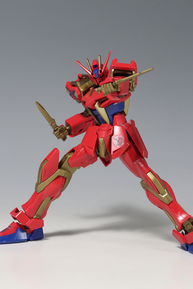HGCE ストライクガンダム 鹿島アントラーズVer. : デンデロの消失